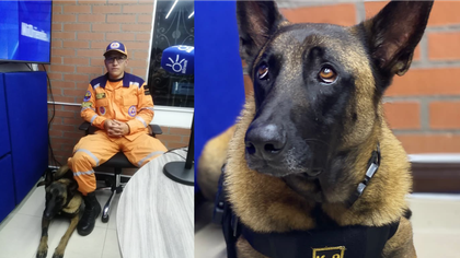 Imagen de  “Volvería a la selva para buscar a los niños”: voluntario de la Defensa Civil regresó a Rionegro