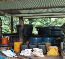 Ejército destruye 35 laboratorios