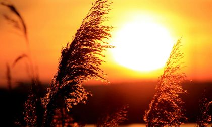 El gran mito del Sol: ni es amarillo ni “arde” como creemos