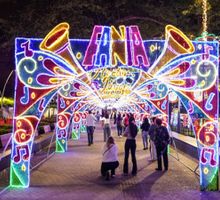 No se pierda la oportunidad de ir al último madrugón del Alumbrado Navideño