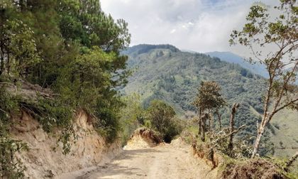 Imagen de  En El Retiro han intervenido 45 kilómetros de vías rurales en los últimos dos meses