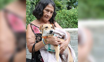 ¿Perdió a su mascota tras el terremoto en Cali? Cerca de 181 permanecen en el Centro de Bienestar Animal