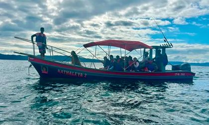 Garantizan avistamiento de ballenas y delfines en Tribugá