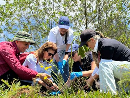 Imagen de En trabajo mancomunado la CEO sembró 1 500 árboles en Rionegro