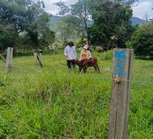 Implementan corredor biológico en El Queremal