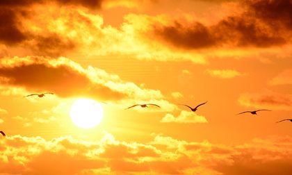 Fuertes temperaturas se mantienen en el Valle