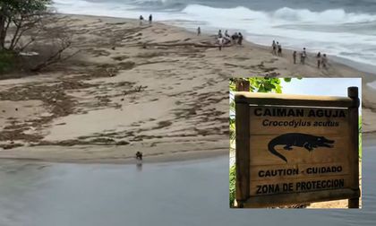 Turistas vivieron momentos de pánico en el parque Tayrona por cuenta de caimanes