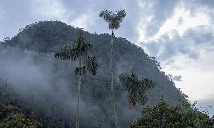 La COP16 en Cali: Más que un Evento, una Oportunidad