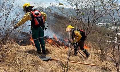 Colombia arde: incendios forestales afectan varias regiones y el Valle del Cauca reporta cerca de 50 casos