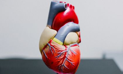 En el Día del corazón, prevenga las enfermedades cardiovasculares
