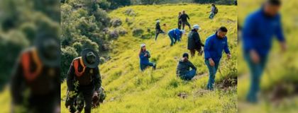 Imagen de  El Parque Ambiental Los Tambos podría servir para la liberación de fauna silvestre