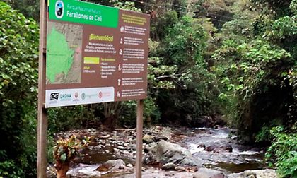 Los Farallones: la madre de los ríos de Cali y cuna de su biodiversidad