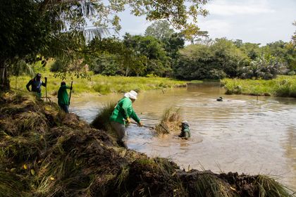 Imagen de  En el Día Mundial de los Humedales, autoridad ambiental promueve la conservación de estos ecosistemas