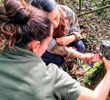 Cali protegerá su biodiversidad con apoyo de IA