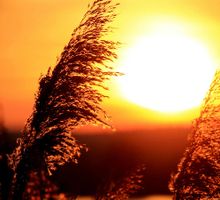 El gran mito del Sol: ni es amarillo ni “arde” como creemos