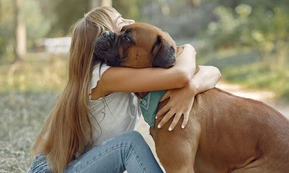 Perros en el islam: ¿haram o necesarios? La visión islámica que pocos conocen