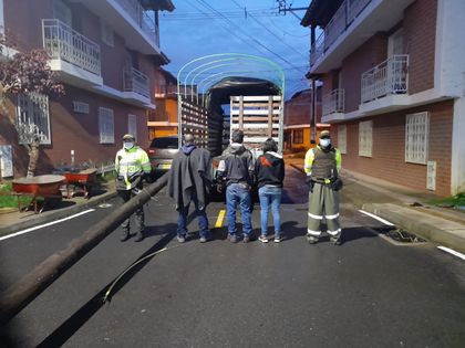 Imagen de Policía frustró el robo de ocho postes de energía en El Carmen de Viboral