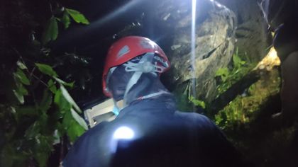 Imagen de Accidente en la autopista, jurisdicción de San Luis: cuatro heridos y un perrito desaparecido