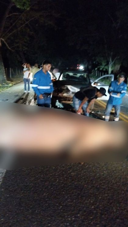 Imagen de Impresionante choque entre un vehículo y un hipopótamo en Doradal; el animal murió