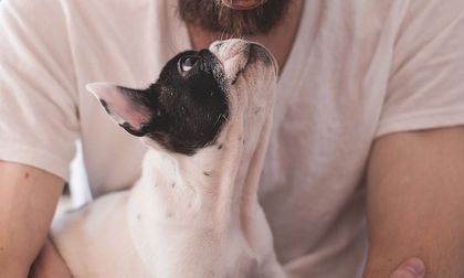 ¿Cómo ayudan las mascotas a sus amos en los momentos de enfermedad?