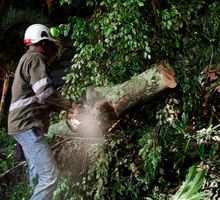 Lluvias en Cali superaron estándares internacionales y dejaron múltiples afectaciones