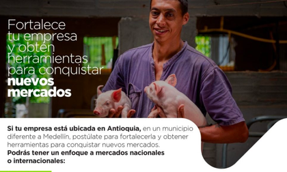 Imagen de ¿Quiere aprender a exportar sus productos? Hay un curso disponible para empresas antioqueñas