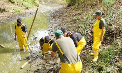 Dagma fortalece las acciones en los humedales de Cali con recarga hídrica, monitoreo de fauna y recuperación ecológica