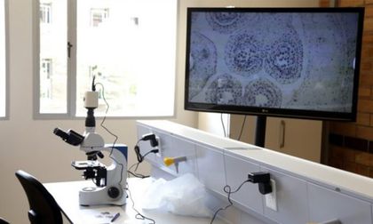 Imagen de  Estos son los únicos laboratorios avalados en Antioquia para hacer pruebas de Covid-19
