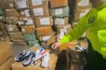 Imagen de Incautaron más de 6 600 pares de zapatos de contrabando en Medellín, listos para ser vendidos por criminales en diciembre