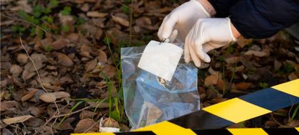 Imagen de  ¿Encontraron restos de Irma Franco, desaparecida del Palacio de Justicia? Polémica por intervención en terreno protegido