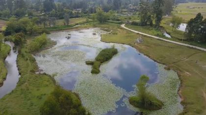 Imagen de Del 23 de febrero al 1 de marzo se realizará en Rionegro la Semana del Patrimonio Ambiental: esta es la agenda