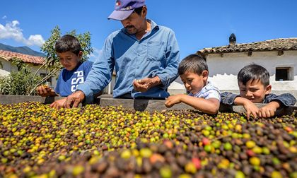 Convocatoria a proyectos que impulsen la investigación en seguridad alimentaria y nutrición