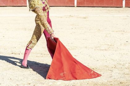 Imagen de  Proyecto de ley que busca prohibir las corridas de toros fue nuevamente aplazado. ¿Cuándo se retomaría?