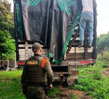 Activan en Cali el ‘Plan Distrito Más Verde’ para proteger la fauna y flora silvestre en diciembre