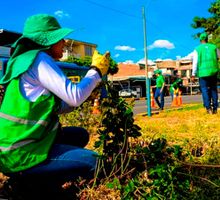 Espacios públicos intervenidos en Cali superan los 350 mil metros cuadrados recuperados