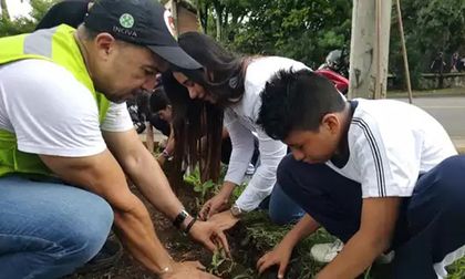 Valle cuenta con “Hotel de Insectos”