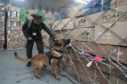 Imagen de  Asocolflores y Policía Nacional lanzan el “Plan Pétalo” para evitar narcotráfico por medio de la exportación de flores