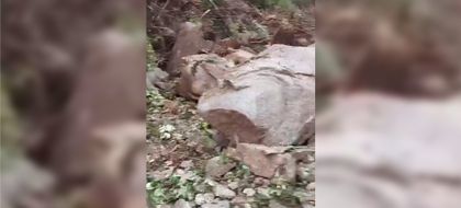 Imagen de  Cerrada totalmente la vía que de Sonsón conduce a Argelia y Nariño