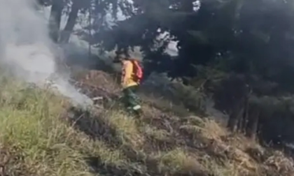 Atienden incendios forestales en tres municipios del Valle
