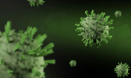 Virus y bacterias: amenazas capaces de cambiar el destino humano