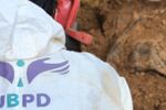 Imagen de Unidad de Búsqueda de Desaparecidos alerta por recorte presupuestal del 21,8 %