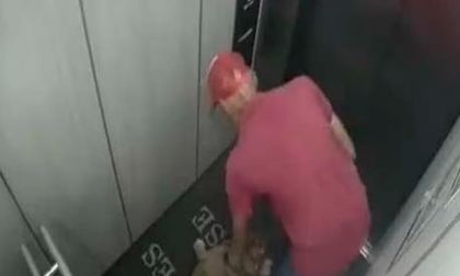 Nuevo caso de maltrato animal: hombre golpeó a un perro en ascensor en Barranquilla