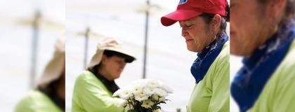Imagen de  ¡Hito histórico! Flores El Capiro envió su contenedor número 10.000 alrededor del mundo