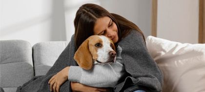 Imagen de  Corte Constitucional de Colombia declaró inembargables los animales de compañía en procesos judiciales