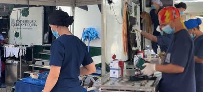 Imagen de  Esterilizaron más de 160 mascotas en El Carmen de Viboral