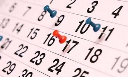 Imagen de  “Este año sí”