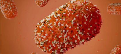 Imagen de  La OMS declaró la emergencia global por la viruela del mono ante el avance de un brote letal en África