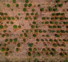 Sigue en aumento probabilidad de un fenómeno de El Niño