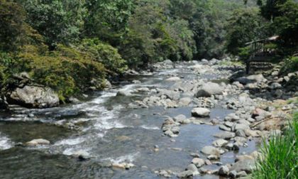 Zona rural de Cali presente en la COP16