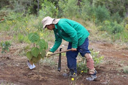 Imagen de  Luego de estar en crisis, el Parque Arví reportó aumento del 40% en sus ingresos durante el 2024